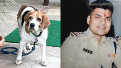 Photo of इंस्पेक्टर ने सिपाही को पीटा, SP ने किया सस्पेंड, FIR के लिए धरना जारी