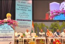Photo of पंजाब में 5 लाख एकड़ फसल बर्बाद…कृषि मंत्री ने केंद्र से 151 करोड़ की तात्कालिक मदद मांगी