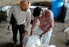 Photo of बरनाला में त्योहारों के मद्देनजर स्वास्थ्य विभाग ने डेयरी फार्मों पर छापेमारी, 50 किलो पनीर और रिफाइंड तेल सील