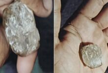 Photo of पन्ना की खदान से 150 कैरेट का कीमती हीरा गायब, जांच में जुटा प्रशासन
