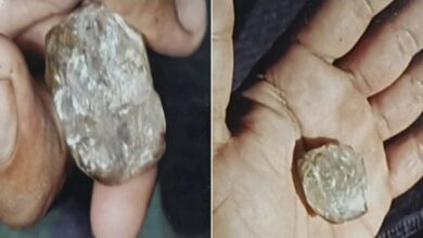 Photo of पन्ना की खदान से 150 कैरेट का कीमती हीरा गायब, जांच में जुटा प्रशासन