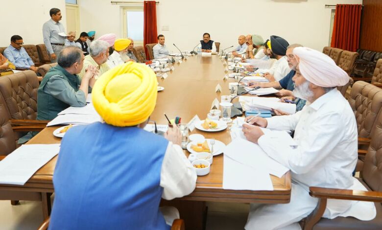 Punjab Cabinet Decisions