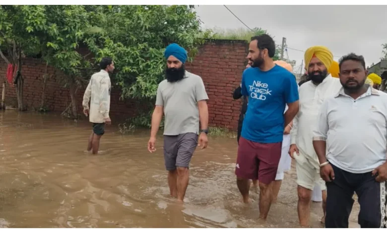 Punjab News :