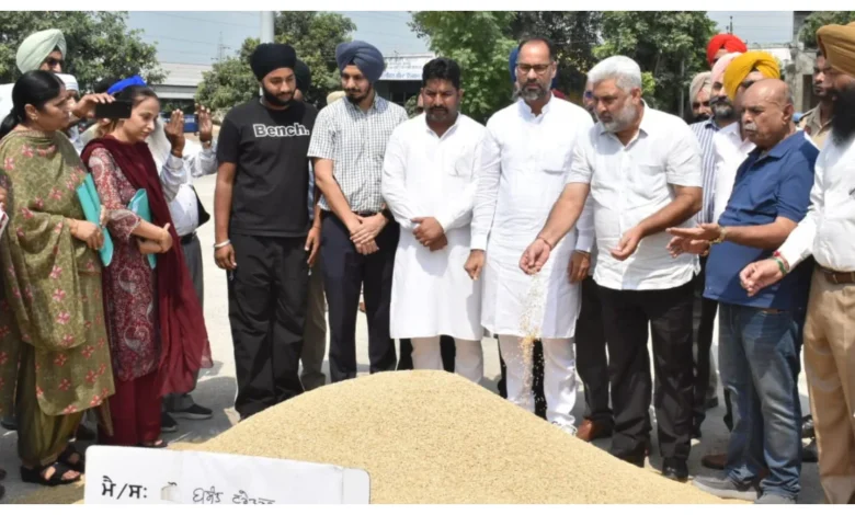 Punjab News :