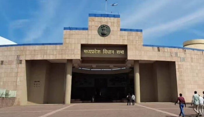 MP News