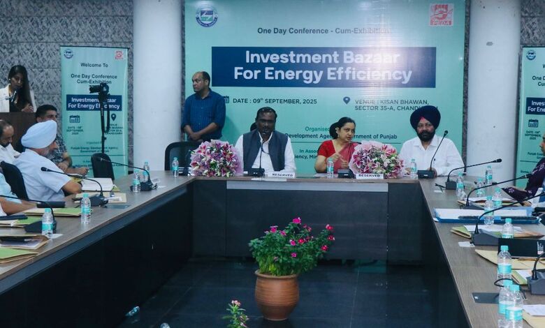 Punjab energy efficiency