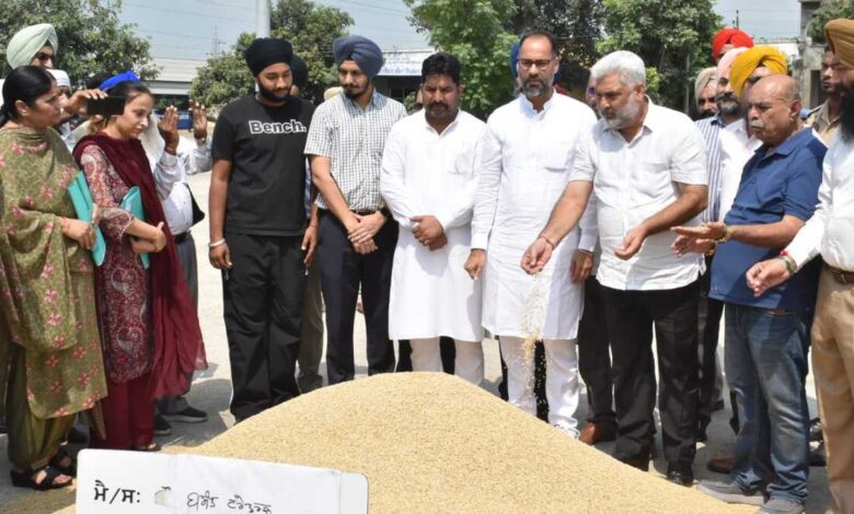Punjab paddy procurement