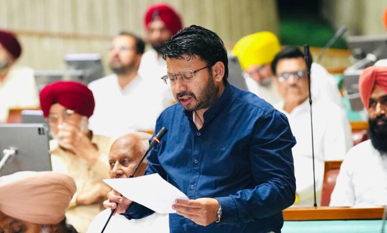 Punjab Assembly Bill