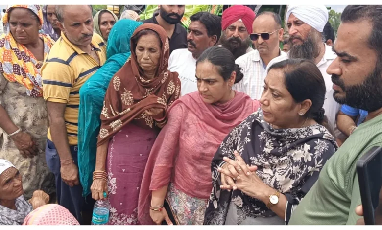 Punjab News :