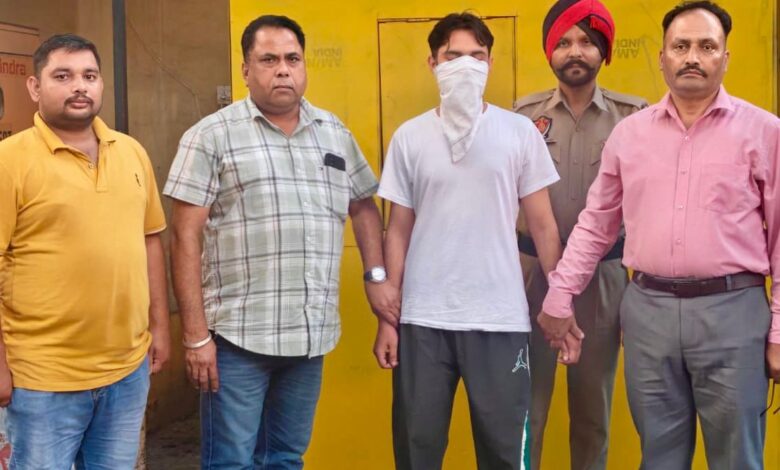 Punjab News :