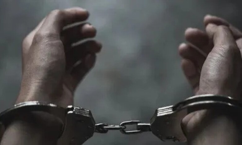 Punjab drug Arrests