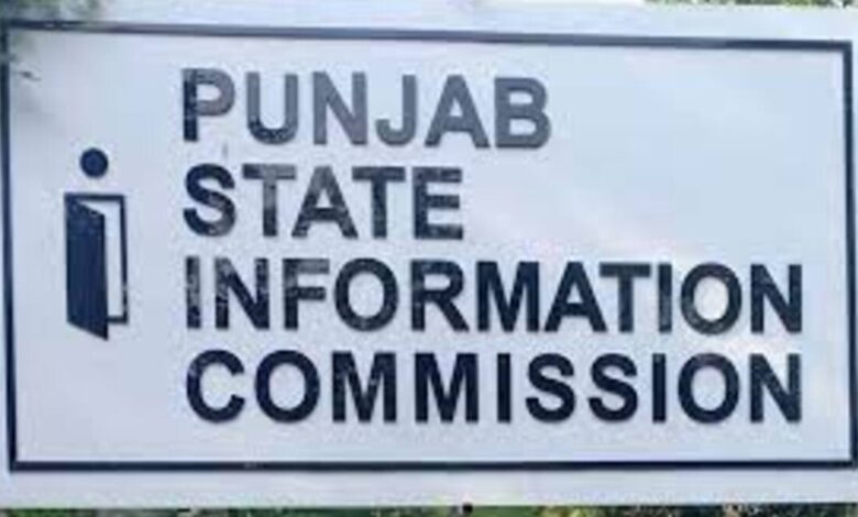Punjab News