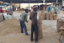 Photo of धान खरीद में अब कोई लापरवाही नहीं, किसानों के हक के लिए HCS अधिकारी और डीसी करेंगे सख़्त निरीक्षण