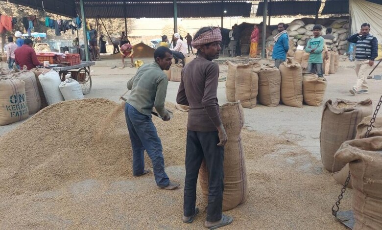 Paddy Procurement Farmer Rights