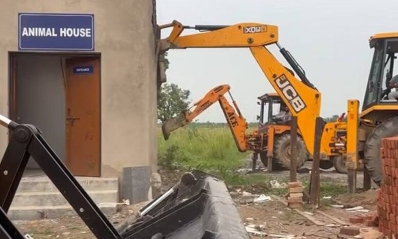 UP Bulldozer Action