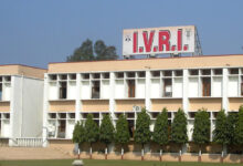 Photo of मांस की गुणवत्ता के लिए IVRI ने विकसित की नई प्लांट-बेस्ड सेंसर किट, अब मिनटों में जानें मांस की ताजगी
