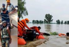 Photo of पंजाब में बाढ़ से राहत…हजारों लोग घर लौटे, हालात तेजी से हो रहे सामान्य