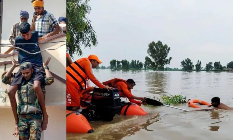 Punjab flood relief update