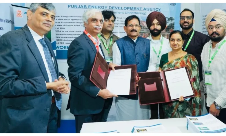 Punjab News :
