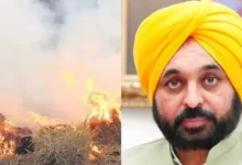 Photo of पंजाब में पराली जलाने की घटनाओं में 90% की कमी, काम कर गया मान सरकार का प्लान              