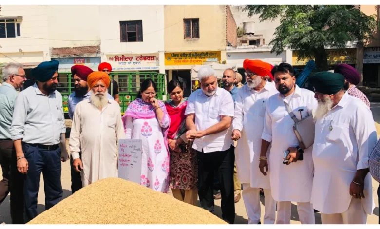 Punjab News :
