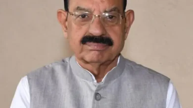 Photo of पॉलीहाउस खेती से लाखों का मुनाफा कमा रहे हैं किसान, बागवानी विभाग कर रही है मदद
