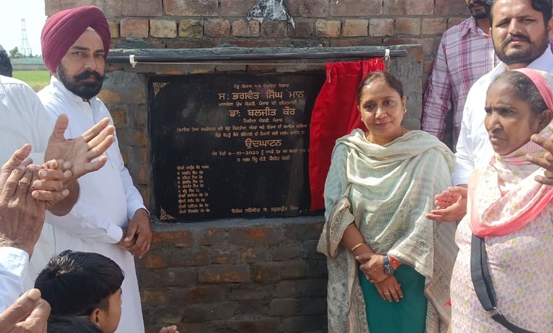 Baljeet Kaur Development Projects