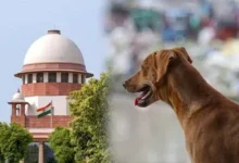 Photo of SC नाराज : आवारा कुत्तों पर हलफनामा नहीं देने वाले राज्यों के मुख्य सचिवों को पेश होने का आदेश