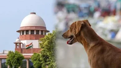 Photo of SC नाराज : आवारा कुत्तों पर हलफनामा नहीं देने वाले राज्यों के मुख्य सचिवों को पेश होने का आदेश