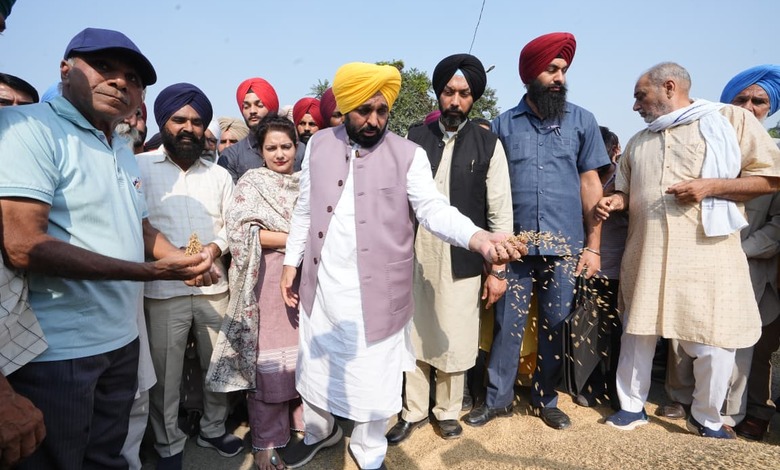 CM Mann Paddy Procurement Punjab