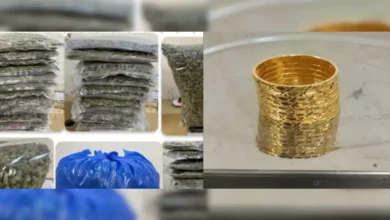 Photo of मुंबई एयरपोर्ट पर कस्टम ने 3 दिन में 5 तस्करी मामले पकड़े, करोड़ों का गांजा और सोना बरामद
