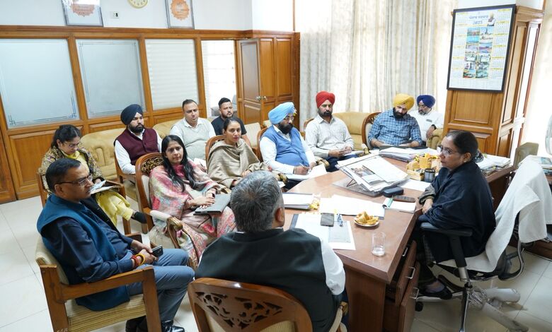 Legal Guardianship Punjab