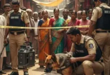 Photo of फरीदाबाद, रांची के बाद अब अल्मोड़ा से भारी मात्रा में  विस्फोटक मिलने से मचा हडकंप