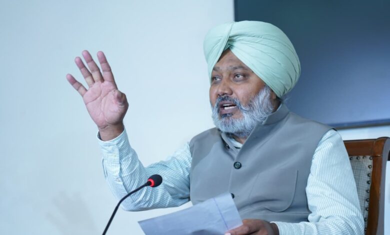 Punjab rural development