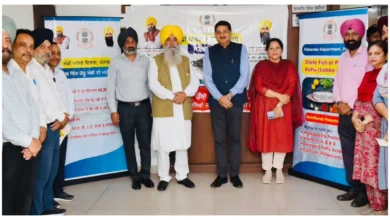 Photo of रोहू बनी पंजाब की राज्य मछली, मत्स्य पालन से बढ़ेगा रोजगार और राज्य की अर्थव्यवस्था को मिलेगा बल