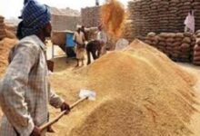 Photo of अब तक 11 लाख से अधिक किसानों को एम.एस.पी. का लाभ मिला, पटियाला जिला सबसे आगे