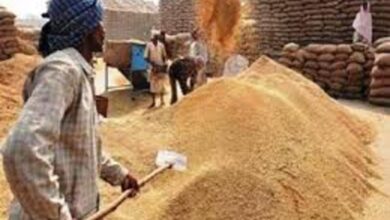 Photo of अब तक 11 लाख से अधिक किसानों को एम.एस.पी. का लाभ मिला, पटियाला जिला सबसे आगे