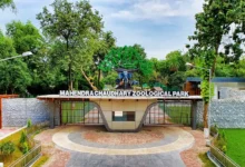 Photo of वन एवं वन्य जीव संरक्षण विभाग द्वारा छत्तबीड़ चिड़ियाघर में जानवरों पर दिया जा रहा विशेष ध्यान