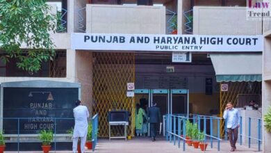 Photo of पंजाब और हरियाणा हाईकोर्ट ने IBPS की भर्ती प्रक्रिया पर रोक लगाई, पूर्व सैनिक कोटा हटाने को दी चुनौती