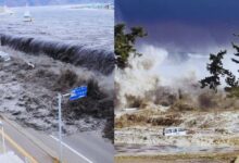 Photo of Earthquake : जापान की ‘महाभूकंप’ को लेकर चेतावनी, क्या भारत-रूस पर भी होगा असर