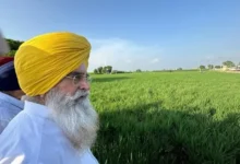 Photo of पंजाब में कृषि सुधार: गन्ने की रिकॉर्ड कीमत, मक्की खेती में नवाचार और पराली जलाने में आई बड़ी कमी