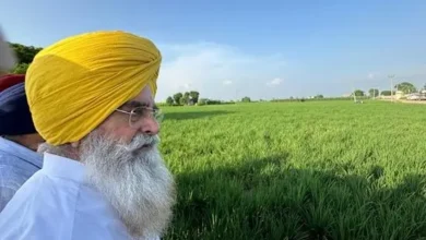 Photo of पंजाब में कृषि सुधार: गन्ने की रिकॉर्ड कीमत, मक्की खेती में नवाचार और पराली जलाने में आई बड़ी कमी