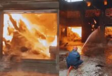 Photo of लुधियाना स्थित फीड फैक्ट्री में लगी भीषण आग, फायर ब्रिगेड टीम मौके पर पहुंची