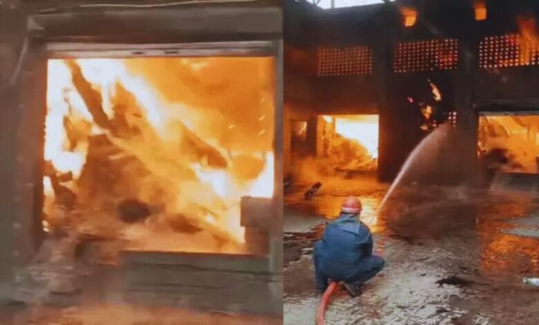 Ludhiana Feed Factory Fire