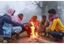 Photo of उत्तर भारत में ठंड और कोहरा बढ़ा, कई राज्यों में पारा लुढ़का और विजिबिलिटी घटी