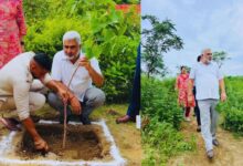 Photo of पेड़ों की कटाई पर सख्ती से लेकर प्रकृति संरक्षण तक, पंजाब सरकार के बड़े फैसले जानिए