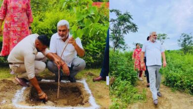 Photo of पेड़ों की कटाई पर सख्ती से लेकर प्रकृति संरक्षण तक, पंजाब सरकार के बड़े फैसले जानिए