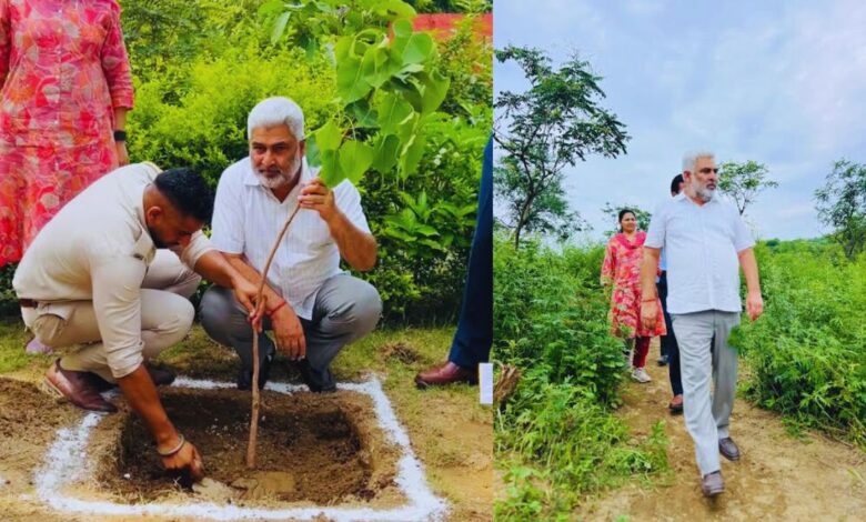 Punjab Green Revolution