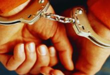 Photo of Punjab News : जंगली जीवों के अंगों की तस्करी में तीन गिरफ्तार, सांभर के सींग और बिल्ली की ज़ेर बरामद