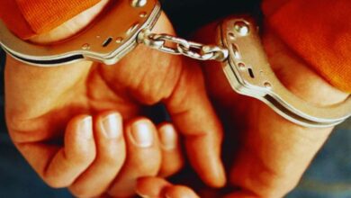 Photo of Punjab News : जंगली जीवों के अंगों की तस्करी में तीन गिरफ्तार, सांभर के सींग और बिल्ली की ज़ेर बरामद